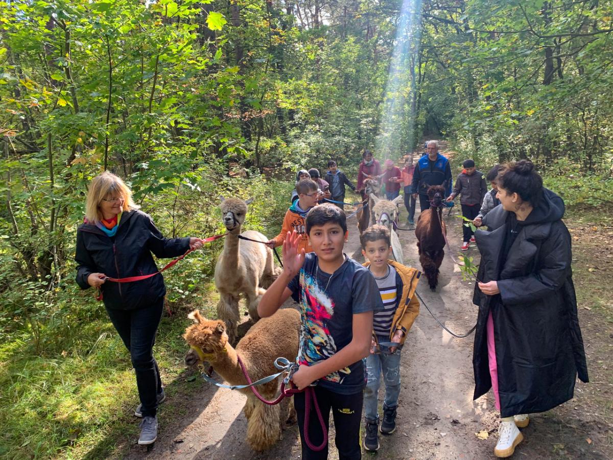 Spaziergang mit den Alpakas